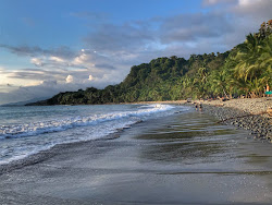 Zdjęcie Playa Pinuelas położony w naturalnym obszarze