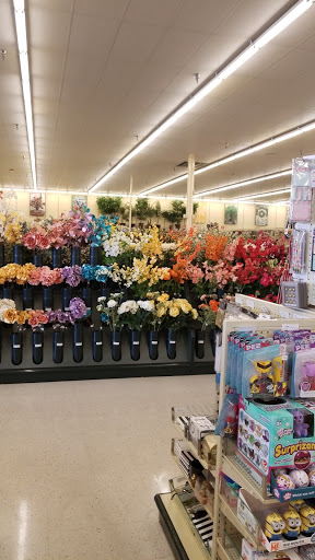 Craft Store «Hobby Lobby», reviews and photos, 8615 Little Rd, New Port Richey, FL 34654, USA