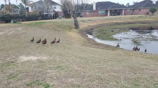Golf Course «Heron Lakes Golf Course», reviews and photos, 7910 North Sam Houston Pkwy W, Houston, TX 77064, USA