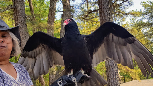 State Park «Myles Standish State Forest», reviews and photos, 194 Cranberry Rd, Carver, MA 02330, USA