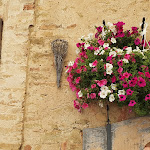 Photo n°3 de l'avis de Gabriele.z fait le 23/05/2021 à 14:55 sur le  La Locanda della Volpe e L'Uva specialità carne alla brace à Montesilvano