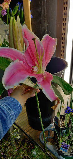 Florist «The Flower Lady», reviews and photos, 3230 Eastlake Ave C, Seattle, WA 98102, USA