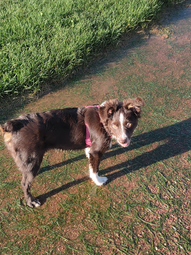 Park «Village Green Park», reviews and photos, 3590 N Carefree Cir, Colorado Springs, CO 80917, USA