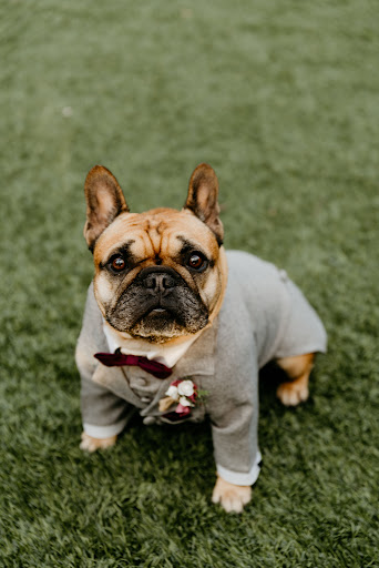 Wedding Venue «Magnolia Terrace», reviews and photos, 6910 Pecan St, Frisco, TX 75034, USA