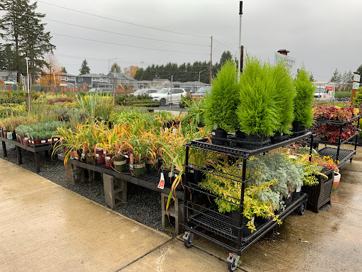 Garden Center «Kent East Hill Nursery», reviews and photos, 11644 SE 240th St, Kent, WA 98031, USA