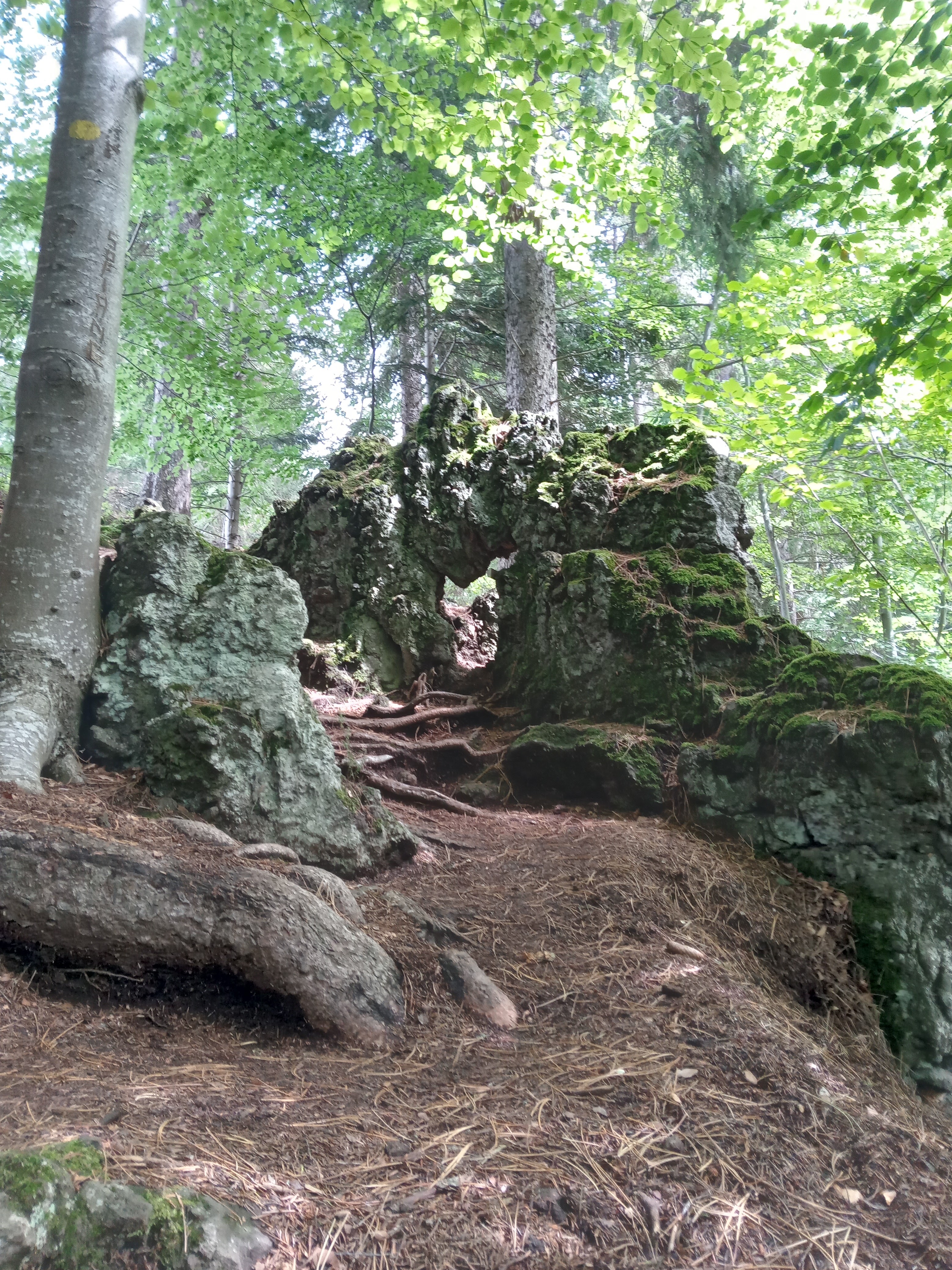 Photo n° 8 de l'avis de Naël.u fait le 20/08/2022 à 16:50