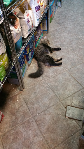 Pet Store «Pets On the Run», reviews and photos, 2920 Hoyt Ave S, Astoria, NY 11102, USA