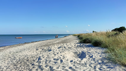 Strand Spodsbjerg