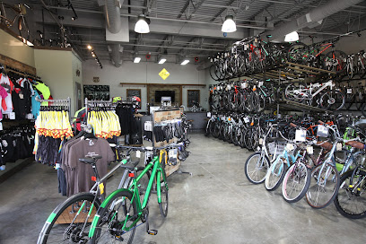 Trek Bicycle Sugar Land