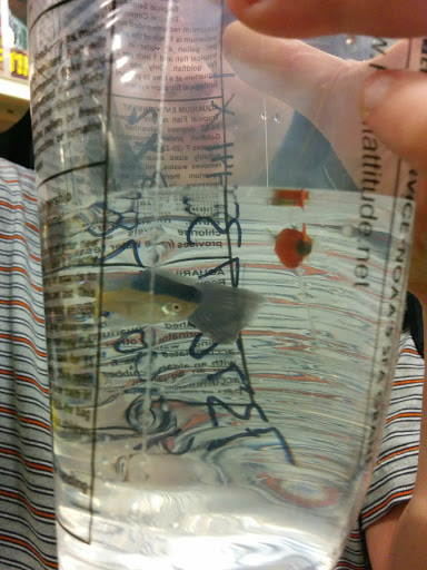 Pet Supply Store «PetSmart», reviews and photos, 350 Fifth St, Oswego, IL 60543, USA