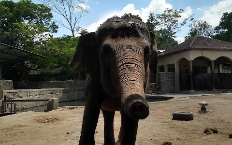 Museum Satwa Gembira Loka Zoo image