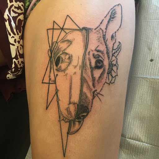 Explore small cardinal tattoo ideas, creative tattoo ideas in Monticello, available at 850 Tattoo Co.