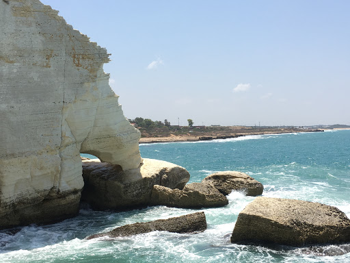 Travel Agency «Cruise Planners - Cruise our way and travel», reviews and photos, 17180 Mallard Ct, Eden Prairie, MN 55346, USA