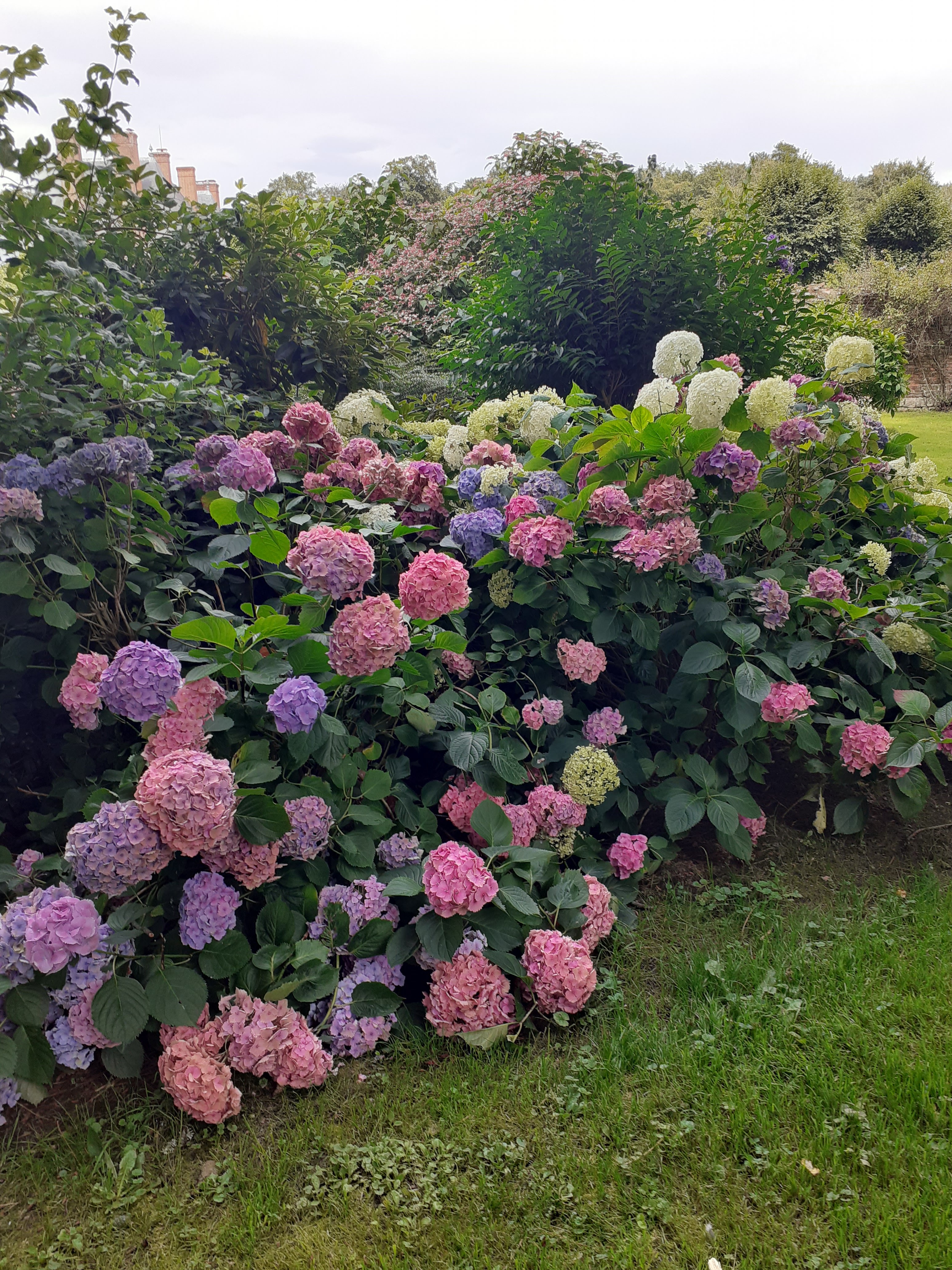Photo n° 4 de l'avis de sandrine.e fait le 10/08/2023 à 14:59