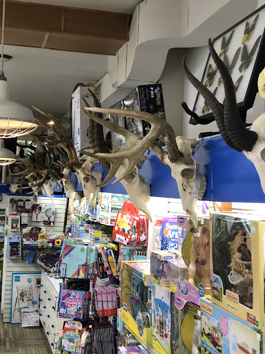 Toy Store «Brookside Toy and Science», reviews and photos, 330 W 63rd St, Kansas City, MO 64113, USA
