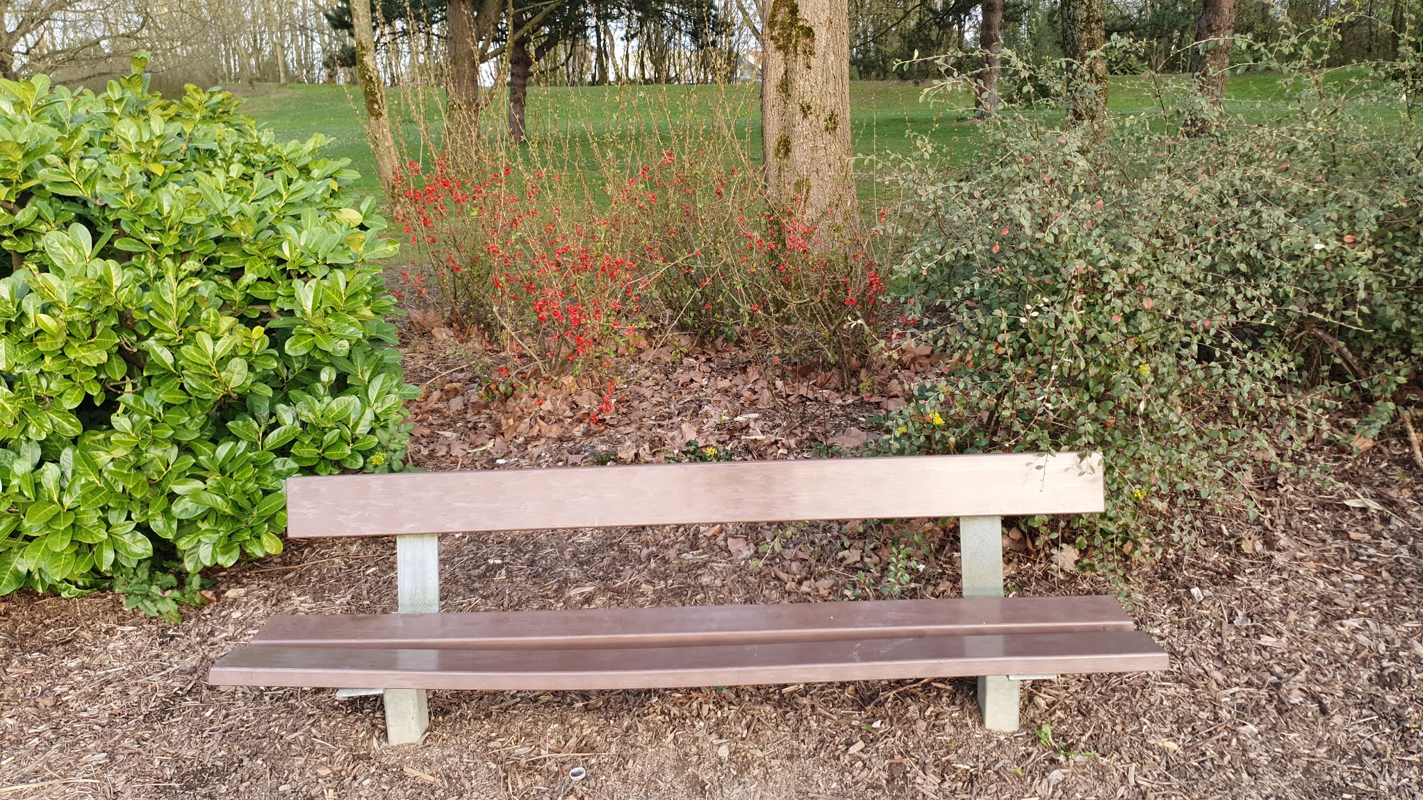Photo n° 10 de l'avis de Philippe.e fait le 27/10/2019 à 16:16