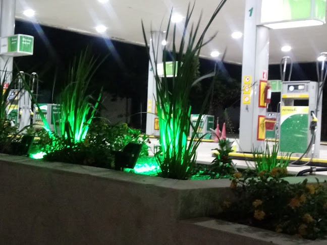 Teléfono de PETROBRAS