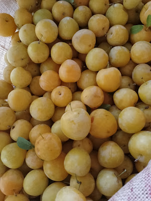 Fermette de Lafontique à Romestaing