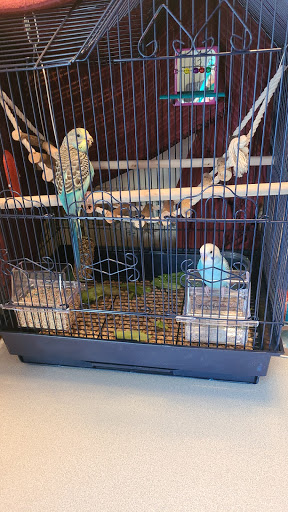 Pet Supply Store «Petco Animal Supplies», reviews and photos, 233 S Stewart Rd, Liberty, MO 64068, USA