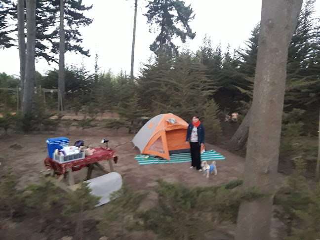 Comentarios y opiniones de Camping las Proteas
