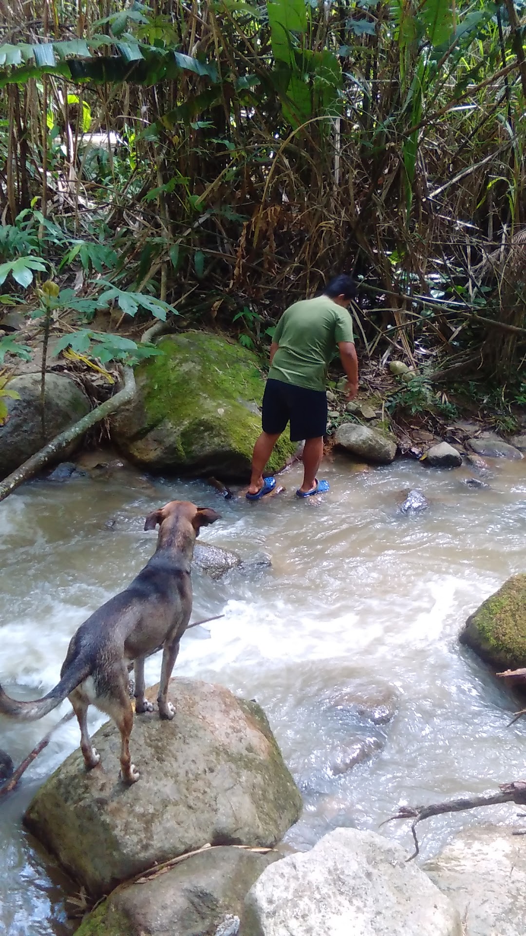 Quebrada Las Panelas