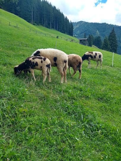Alpbachtal Wanderung