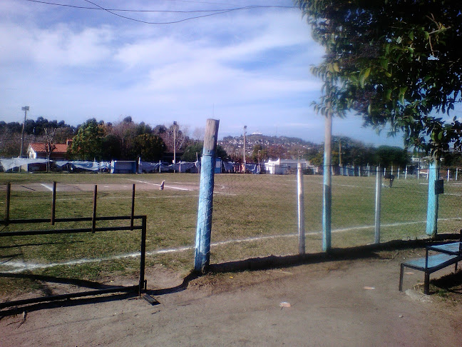 Opiniones de Cancha de cerro juniors baby en Montevideo - Campo de fútbol