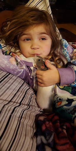 Pet Supply Store «Living Things», reviews and photos, 3437 PA-309, Orefield, PA 18069, USA