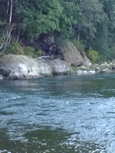 Park «Powell Butte Nature Park», reviews and photos, 16160 SE Powell Blvd, Portland, OR 97236, USA