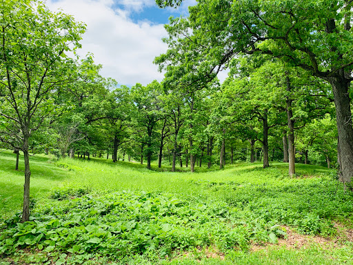 Clare and Miles Mills Rose Garden, 4500 Grand Ave, Des Moines, IA 50312