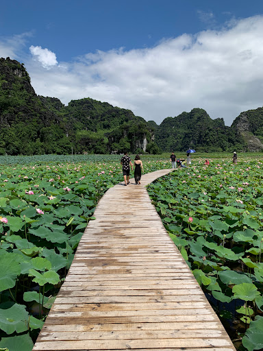 Top 20 cửa hàng altech Huyện Hoa Lư Ninh Bình 2022