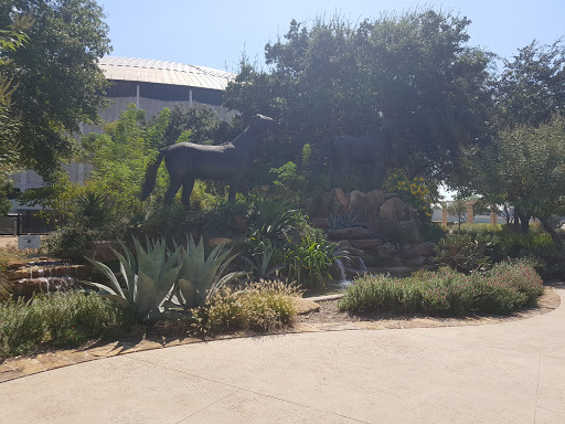 Stadium «NRG Stadium», reviews and photos, NRG Pkwy, Houston, TX 77054, USA