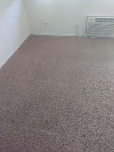 Los Angeles Carpet Cleaning image