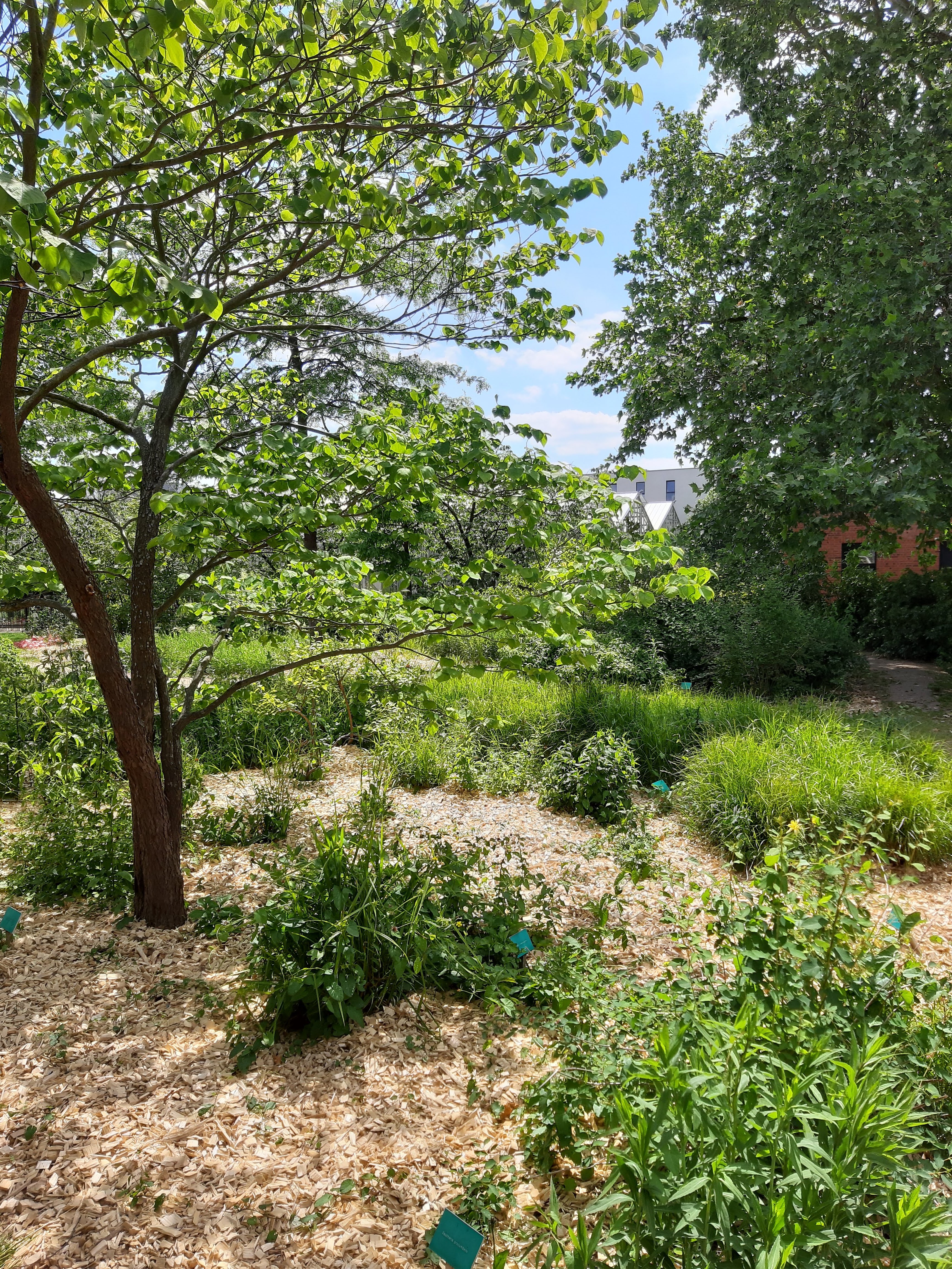 Photo n° 9 de l'avis de ka.i fait le 14/06/2019 à 13:23