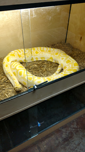 Pet Store «Wildside Pets», reviews and photos, 1042 N Higley Rd #105, Mesa, AZ 85205, USA