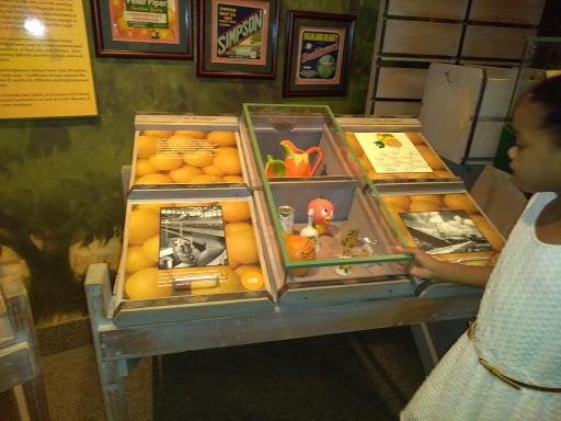 Historical Society «Orange County Regional History Center», reviews and photos, 65 E Central Blvd, Orlando, FL 32801, USA