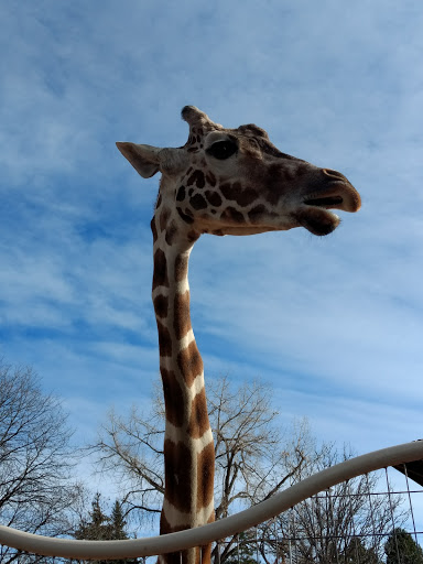 Zoo «Monkey Island», reviews and photos, 8 E 23rd Ave, Denver, CO 80205, USA