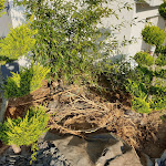 Photo n° 6 de l'avis de Gaetan. fait le 11/07/2019 à 10:22 pour Green Concepts à Gandrange