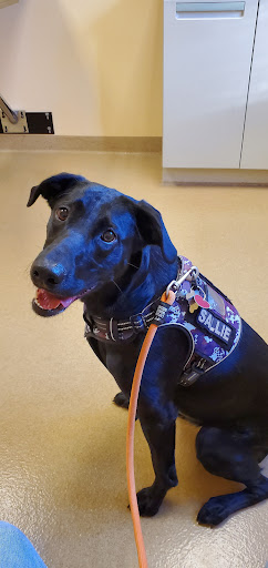 2034 W Main St, Mount Joy, PA 17552, USA