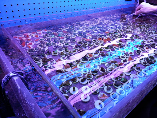 Pet Store «Aqua World Pet Super Center», reviews and photos, 8143 Ohio River Blvd, Pittsburgh, PA 15202, USA