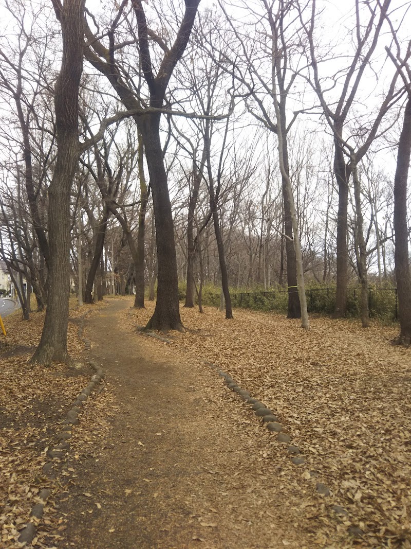 大久保公園