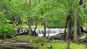 Costley Mill Park - photo 82