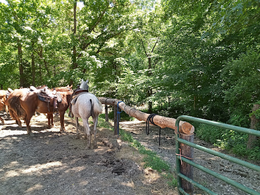 Horseback Riding Service «Grandpa Jeffs Trailrides», reviews and photos, 5889 S Skinner Rd, Morgantown, IN 46160, USA