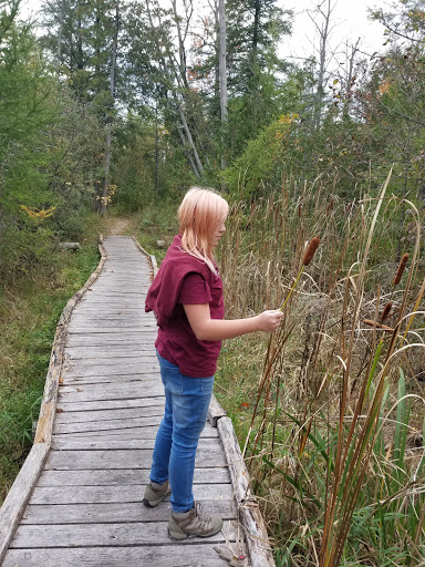 Nature Preserve «Teichner Preserve: The Leelanau Conservancy», reviews and photos, 5234 S Lime Lake Rd, Cedar, MI 49621, USA