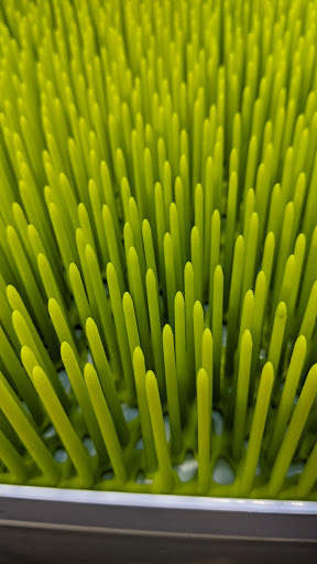 Thrift Store «Goodwill», reviews and photos