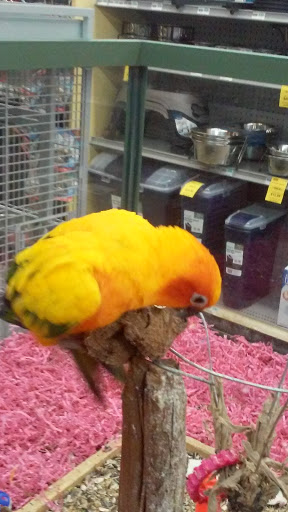 Pet Store «Petland Montgomery», reviews and photos, 7127 Eastchase Pkwy, Montgomery, AL 36117, USA