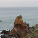 Photo n° 2 de l'avis de babeth.i fait le 26/06/2021 à 17:32 pour Logis Hôtellerie les Brisants à Bretignolles-sur-Mer