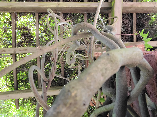 Art Museum «Hermitage Museum and Gardens», reviews and photos, 7637 N Shore Rd, Norfolk, VA 23505, USA