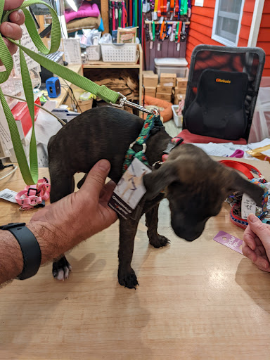 Pet Supply Store «USA Dog Shop», reviews and photos, 549 NY-17, Tuxedo Park, NY 10987, USA