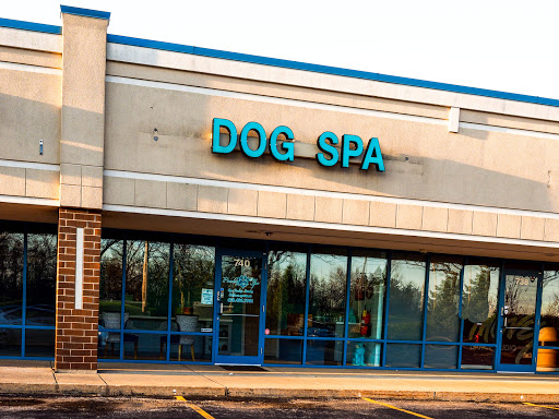 Poochie Love Dog Spa